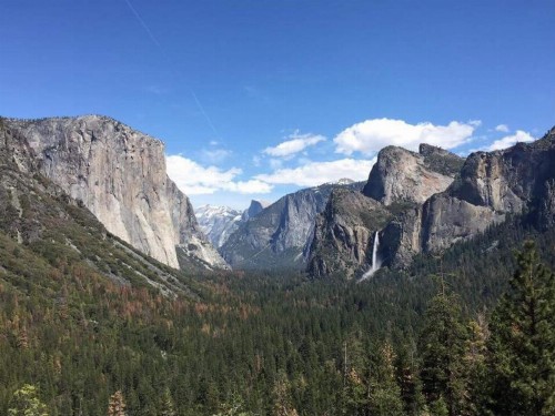 Yosemite International Hostel - image 10
