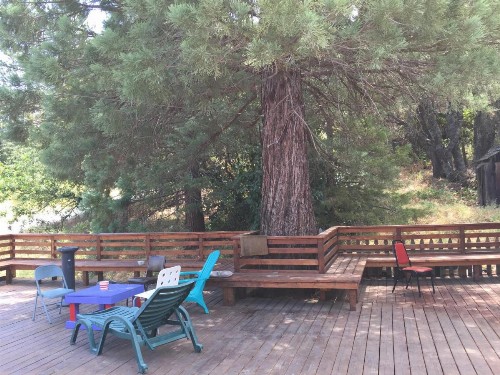 Yosemite International Hostel - image 2
