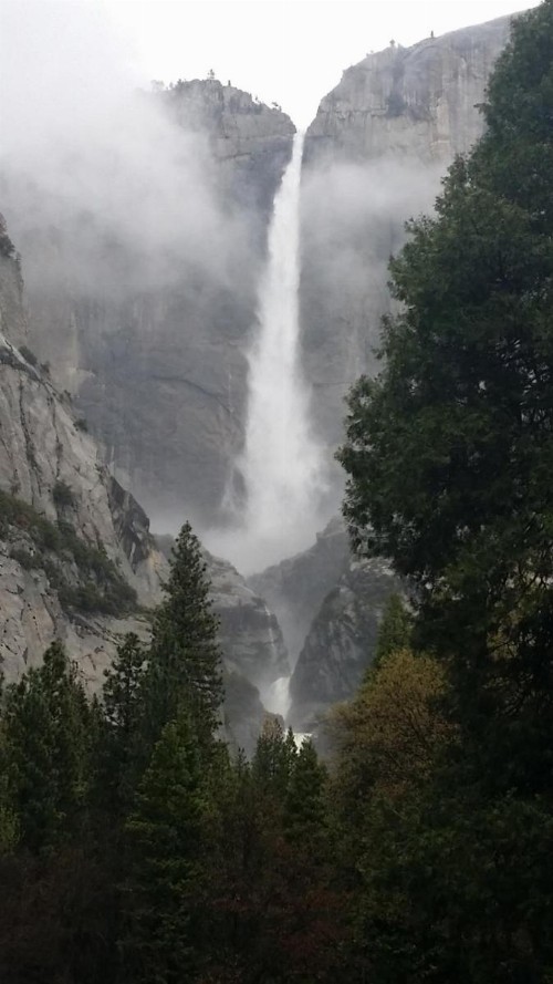 Yosemite International Hostel - image 25