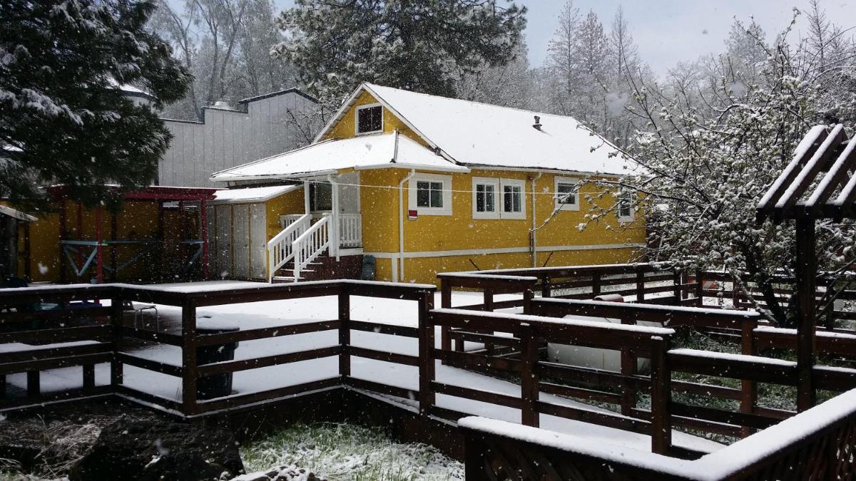 Yosemite International Hostel - image 4