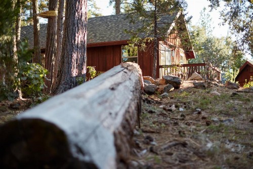 Evergreen Lodge at Yosemite - image 22