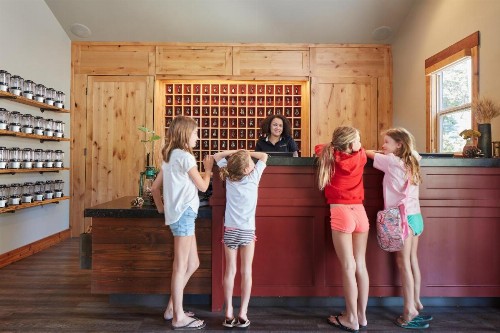 Evergreen Lodge at Yosemite - image 25