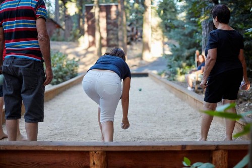 Evergreen Lodge at Yosemite - image 30