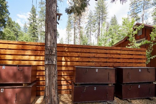Evergreen Lodge at Yosemite - image 37