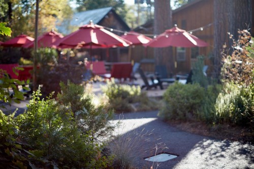 Evergreen Lodge at Yosemite - image 38
