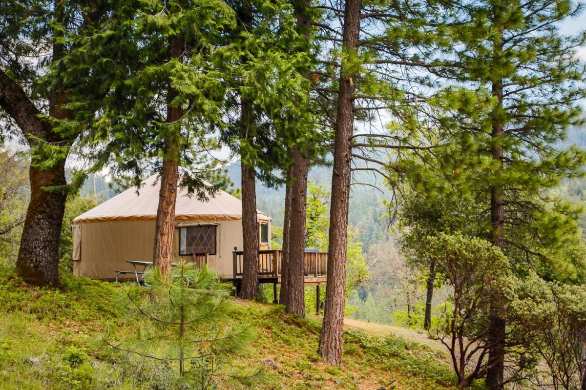 Yosemite Lakes Hillside Yurt 14 - image 6