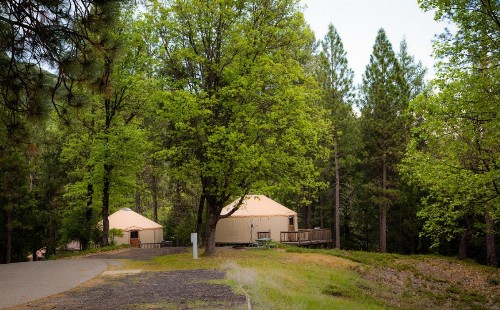 Yosemite Lakes Hillside Yurt 1 - image 16
