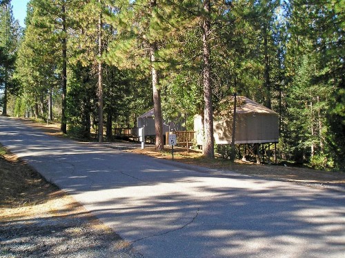 Yosemite Lakes Hillside Yurt 1 - image 6