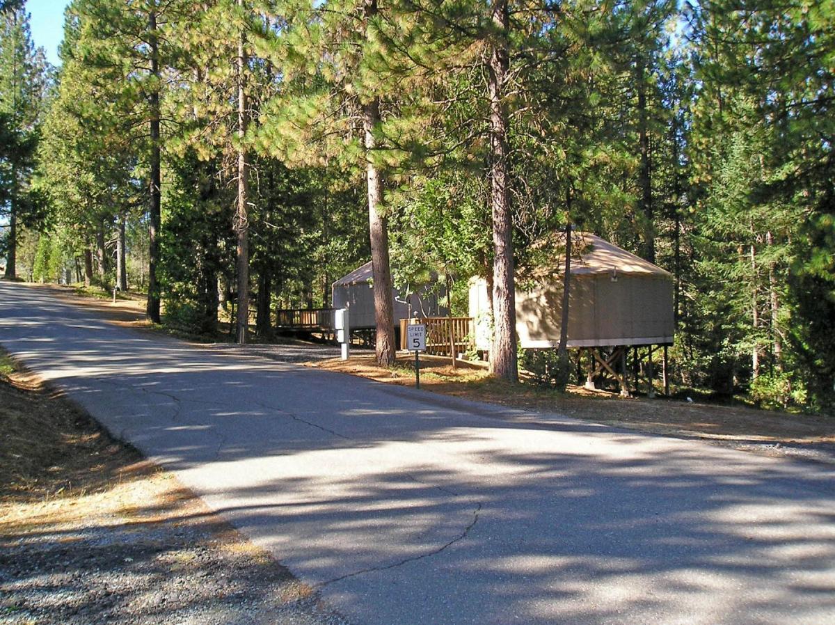 Yosemite Lakes Hillside Yurt 1 - image 6