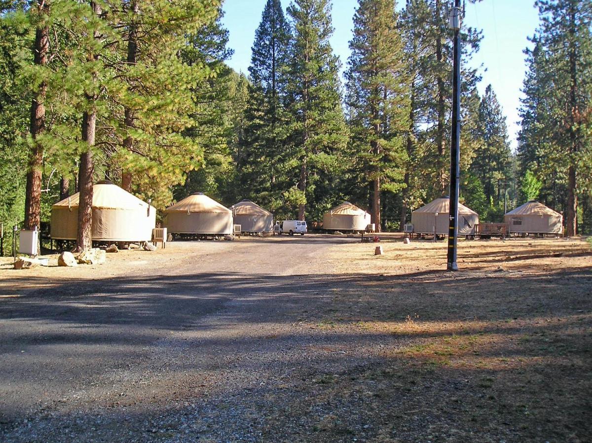 Yosemite Lakes Wheelchair Accessible Meadow Yurt 16 - image 7