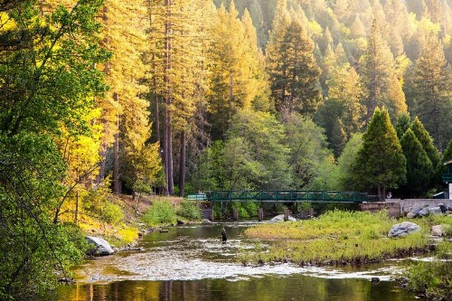 Yosemite Lakes River Yurt 21 - image 15
