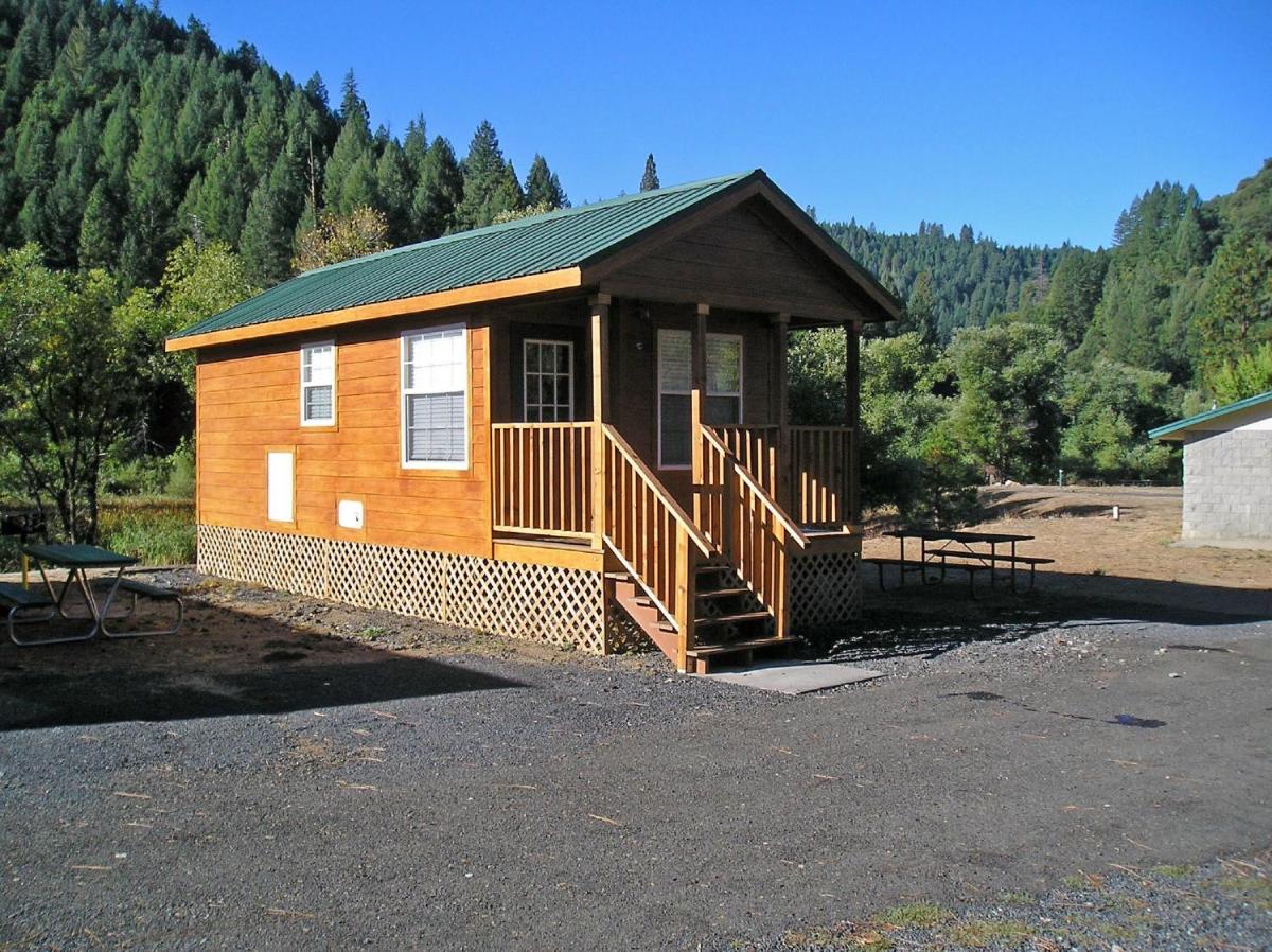 Yosemite Lakes Wheelchair Accessible Cabin 46 - image 5