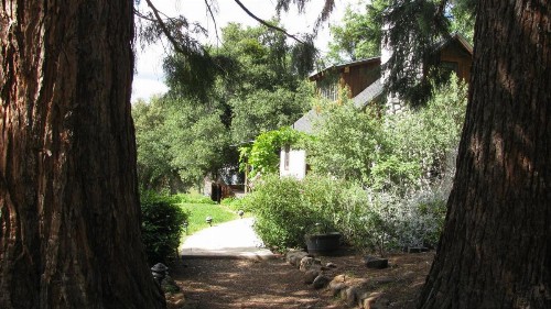 Yosemite Rose Bed and Breakfast - image 11