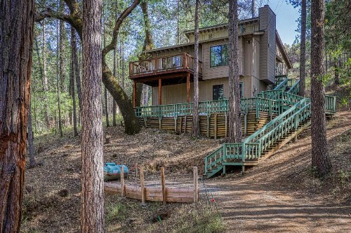 The Pine Forest - image 1