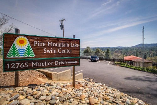 The Pine Forest - image 8