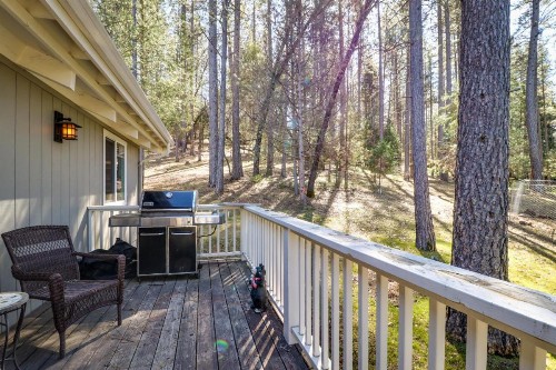 Pine Mountain Magic - image 7