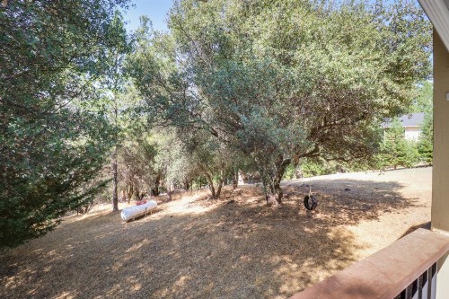 Sunny Delight - image 11