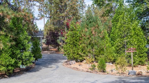 Inn at Sugar Pine Ranch - image 34