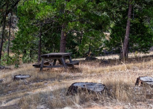 Inn at Sugar Pine Ranch - image 35