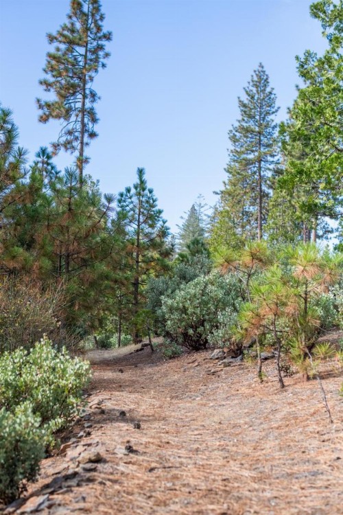 Inn at Sugar Pine Ranch - image 38