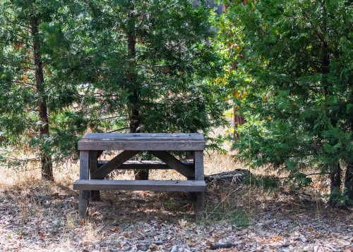 Inn at Sugar Pine Ranch - image 48