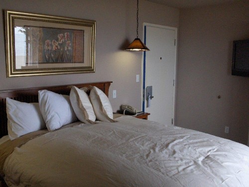 Surf Inn - image 10