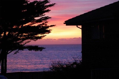 Surf Inn - image 11