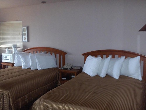Surf Inn - image 12