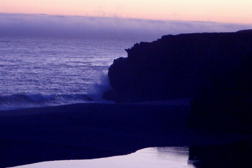Surf Inn - image 14