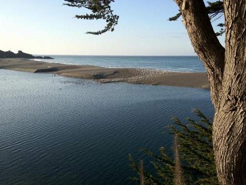 Surf Inn - image 16