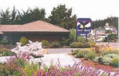 Surf Inn - image 2