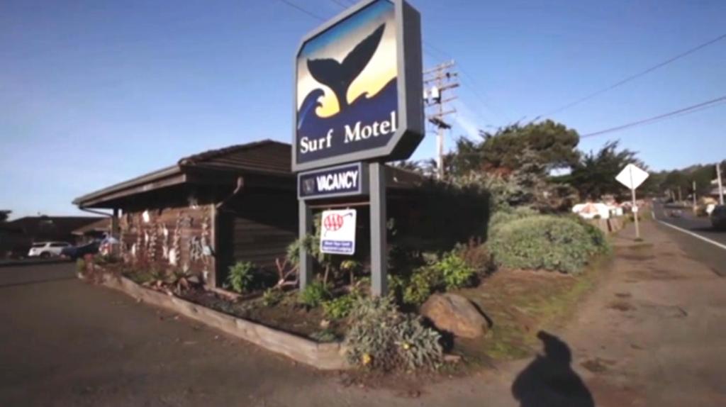 Surf Inn - image 7