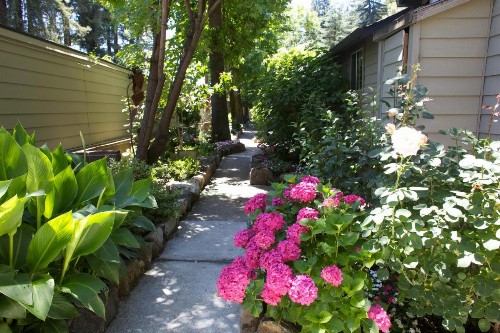 Cottages On River Road - image 42