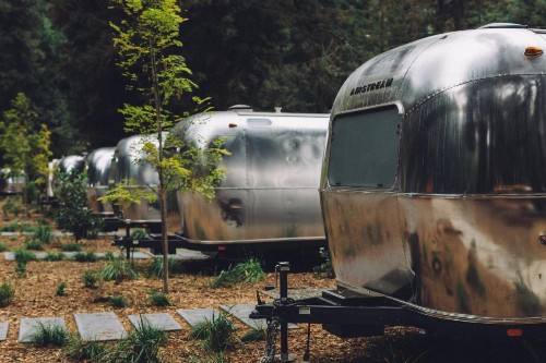 AutoCamp Russian River - image 5
