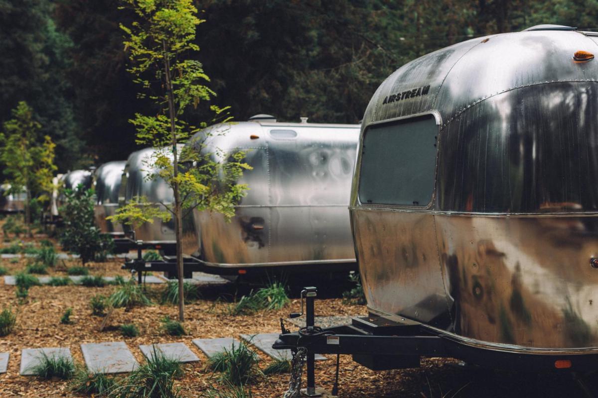 AutoCamp Russian River - image 5