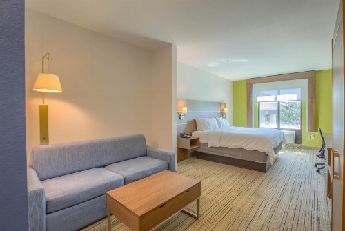 Holiday Inn Express Hotel & Suites Gulf Shores an IHG Hotel - image 34