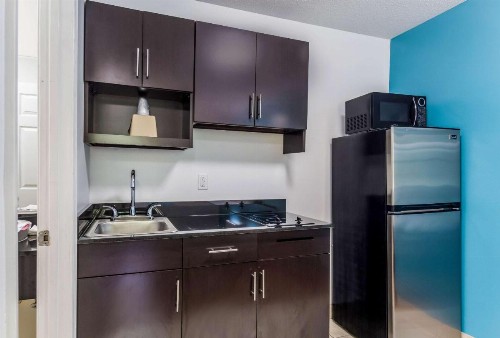 Motel 6-Gulf Shores AL - image 22