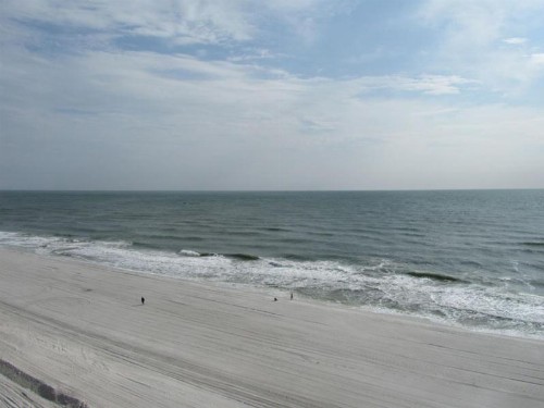 Gulf Tower Unit 8B - image 16