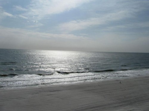 Gulf Tower Unit 8B - image 30
