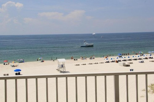 Whaler 4D - image 7