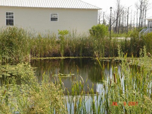 The Rookery Unit 3501 - image 21
