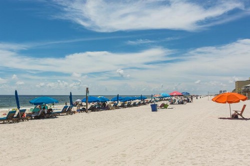 Gulf Tower 11D - image 16