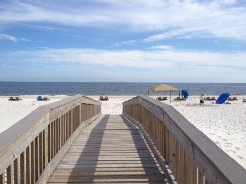 Gulf Tower 11D - image 17