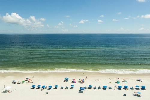 Gulf Tower 11D - image 8