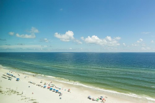 Gulf Tower 11D - image 9