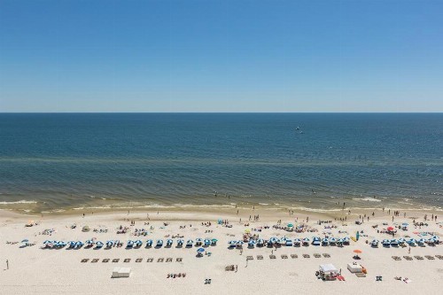 Lighthouse 1204 - image 21