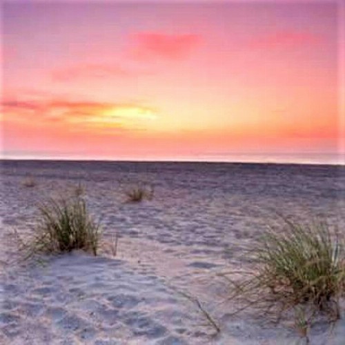 Village by the Gulf - image 11