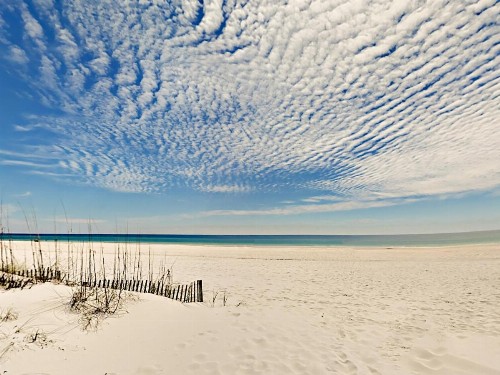 Seahorse Condo 1500 - image 7