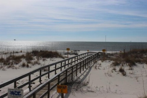 Dunes 106 Condo - image 8