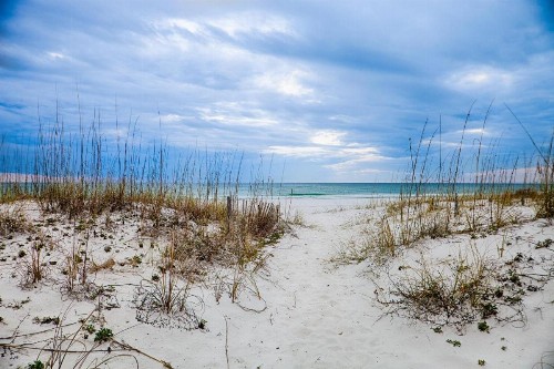 Beachin' East - image 7